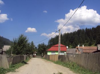 Excursión A pie Tulgheș - sat Hagota - Șaua Vithovoș - Photo