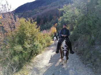 Trail Horseback riding Saint-Nazaire-le-Désert - St Nazaire ~la Chaudière  - Photo