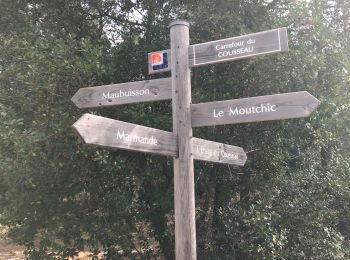 Randonnée Marche Carcans - 07-95-2019 jour 7 25km - Photo