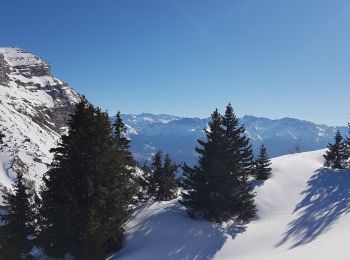 Tour Schneeschuhwandern Plateau-des-Petites-Roches - Pravouta 2022 - Photo