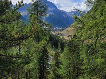 Tocht Stappen Val-d'Isère - de la legettaz au fornet - Photo