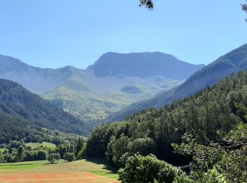 Randonnée Marche Seyne - SEYNES LES ALPES . Grand puy , montagne de la Blache , cabane du Mulet o l s - Photo
