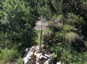 Trail On foot Vallarsa - Sentiero C.A.I. 170 - Photo