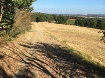 Percorso Marcia Gardouch - Les Collines du Lauragais  - Photo