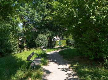 Tocht Te voet Onbekend - rund um den Lainzer Tiergarten - Photo