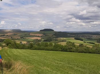 Tour Nordic Walking Favières - Favieres  - Photo