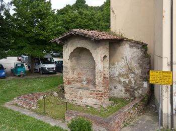 Percorso A piedi Certaldo - Dolce campagna, antiche mura 8 - Photo