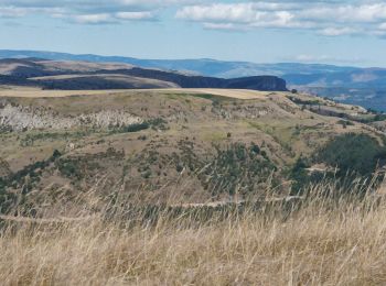 Tour Wandern Meyrueis - Boucle du Puech Pounchut - Photo