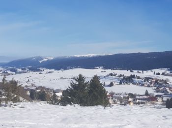 Tour Schneeschuhwandern Cerniébaud - vendredi jura - Photo