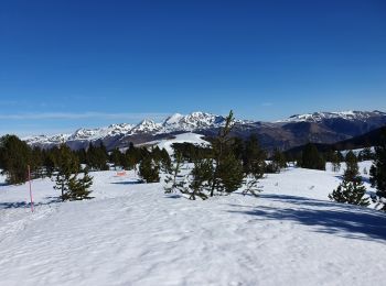 Excursión Raquetas de nieve Albiès - Beille - Orry - l'Ours - Photo