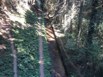 Tocht Stappen Verdun-en-Lauragais - Au top - Photo