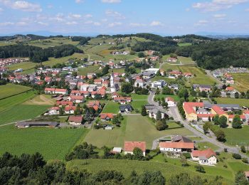 Tour Zu Fuß Paldau - Paldauer Höhepunkte - Photo