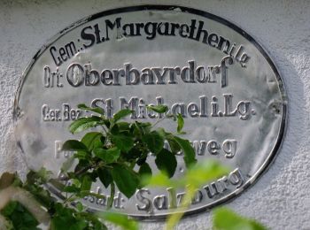 Randonnée A pied Sankt Michael im Lungau - Wanderweg 90, Saumoos - Rundwanderweg - Photo