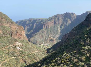 Percorso Marcia Ingenio - Barranco de Guayadeque (Gran Canaria) - Photo