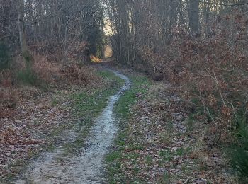 Trail Walking Martot - marasme 1 - Photo