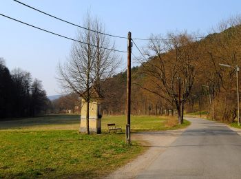 Tocht Te voet Onbekend - Stadtwanderweg 6 - Zugberg - Maurer Wald - Photo