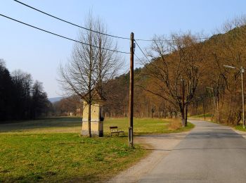 Tour Zu Fuß Unbekannt - Stadtwanderweg 6 - Zugberg - Maurer Wald - Photo