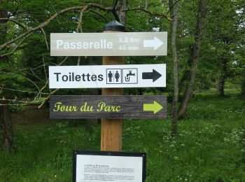 Trail Walking Saint-Maurice-de-Lignon - saint Maurice de Lignon Grazac - Photo
