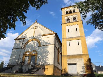 Tocht Te voet Schöndorf - Schöndorf 1 - Photo