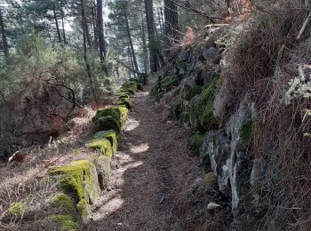 Trail Walking Vernon - Tétines et cascade de Baumicou - Photo