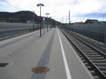 Tocht Te voet Lebring-Sankt Margarethen - Rundwanderweg Lebring - Photo