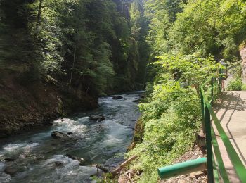 Trail Walking Oberstdorf - Breitachklamm  - Photo