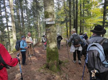 Randonnée Marche Storckensohn - Runtzwald Gazon Vert  - Photo
