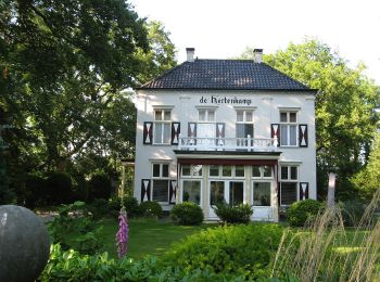 Tour Zu Fuß Lochem - Lochemse Berg Route - Photo