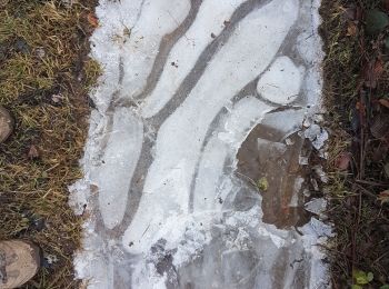 Percorso Camminata nordica Sabadel-Latronquière - monter et bouxal - Photo