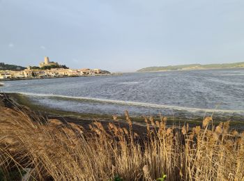 Tocht Stappen Gruissan - Gruissan  - Photo