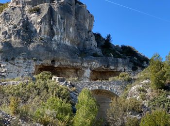 Trail Walking Lançon-Provence - Ruine de Constantine - Chateau Virant - Photo