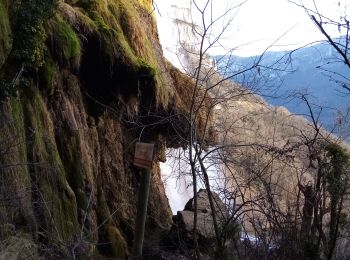 Excursión Senderismo Choranche - La cascade et la grotte de Gournier - Photo