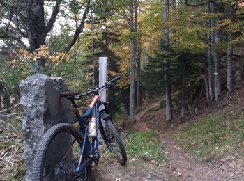 Trail Mountain bike Masevaux-Niederbruck - Le rossberg 20 10 2021 - Photo