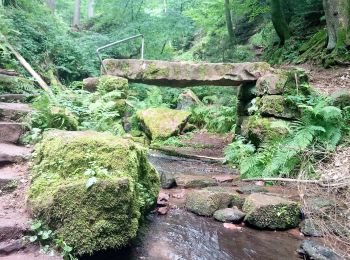 Randonnée A pied Waldbrunn - Rundwanderweg 53: Wolfsschlucht-Weg - Photo