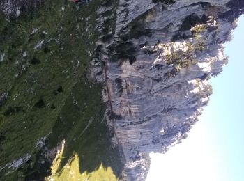 Trail Walking Sainte-Marie-du-Mont - Belle Ombré, la Pinea, la Croix de l'Alpe - Photo