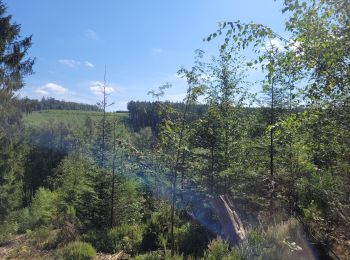 Tour Wandern Dreibrücken - rando logbiermé 6-08-2024 - Photo