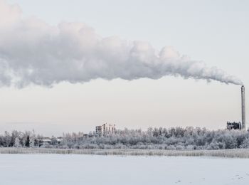 Randonnée A pied Oulu - Hietasaarenkierros - Photo