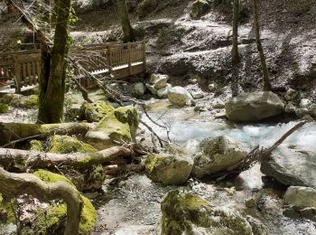 Trail Walking Saint-Vincent-de-Mercuze - Cascade de l'Alloix Montalieu (38) - Photo