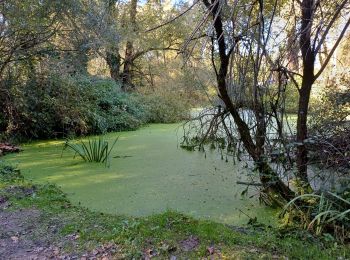 Tour Wandern Grézieu-la-Varenne - grezieu la varenne. boucle - Photo