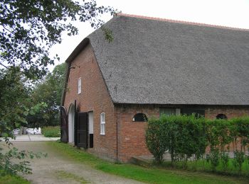 Randonnée A pied Kapelle - NL-Hoge Pad - Photo