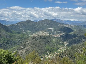 Tour Wandern Cantaron - Cantaron : Monts Macaron et Ubac - Photo