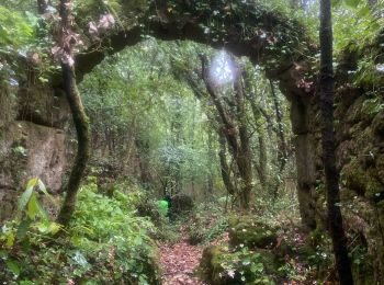 Tocht Stappen Rogues - Madières - Photo