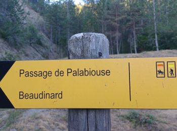 Randonnée Marche Clamensane - VALAVOIRE  Pas de Palabiouse , bergerie de Premarche o l s  - Photo