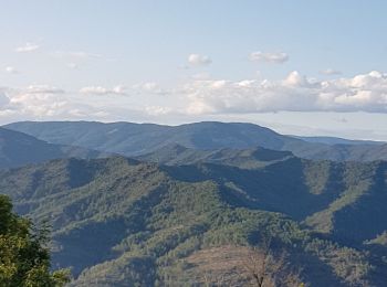 Trail Walking Moissac-Vallée-Française - saumane - Photo