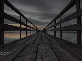 Tocht Te voet Bernau am Chiemsee - Wanderweg 39 - Bernau - Photo