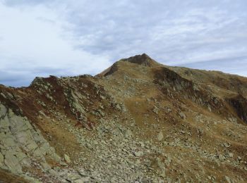 Tour Wandern Montsapey - Mt Bellachat et Marmottes noires - Photo