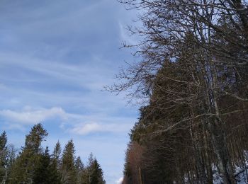Randonnée Raquettes à neige Xonrupt-Longemer - Hohneck raquettes 2021 - Photo