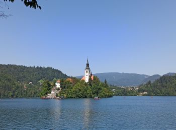 Tocht Stappen Radovljica - 15-08-23 camping Sobec, lac de Bled, Mala Osojnica et retour - Photo