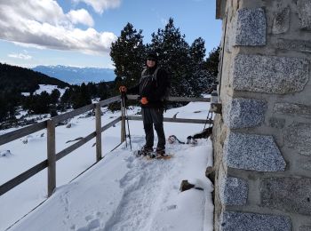Tocht Sneeuwschoenen Font-Romeu-Odeillo-Via - llobens 2021  - Photo