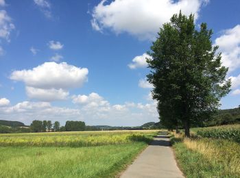 Tour Zu Fuß Volkmarsen - Volkmarsen - V2 - Photo